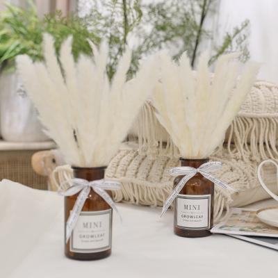 China Other Newest Trend Romantic Wedding Cerenomy Decoration Dried For Pampas Grass Artificial Flower Vases Pampas Grass Fully For Home Deco for sale