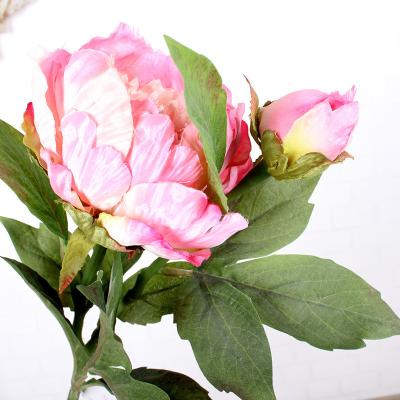 China Wholesale PE Single Stem Peony Fresh Cut Flowers for Wedding Decoration for sale