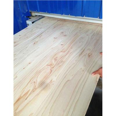 China Traditional Plywood/Plywood Sheet for sale