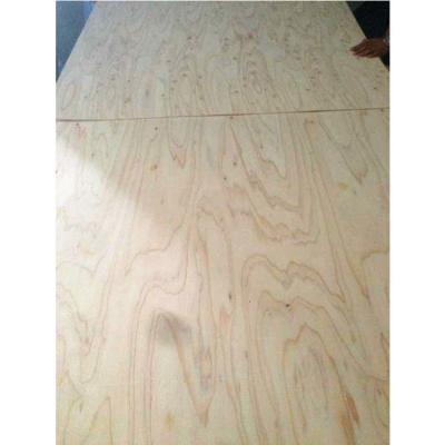 China Traditional larch veneer plywood with cheap price for sale