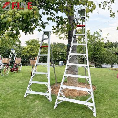 China Folding Ladders Weld Support Detachable Multifold Thickness Raised Orchard Fruit Picking Ladder for sale