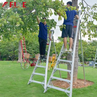 China Folding Ladders Foshan China Guangzhou Finether Modern Safety Strong Fruit Picking Ladder for sale