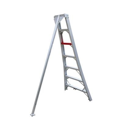 China Aluminum Insulation Ladders Tripod Fruit Picking Step Ladder Orchard Harvest Ladder for sale