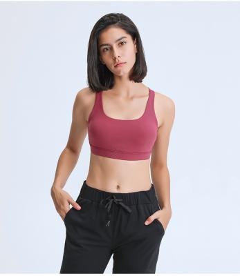 China Plus Size 2021 New Fashion Gym Clothing Women Plus Size Slim Workout Yoga Sports Bra Stretch Half Sleeve Shirt for sale