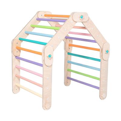 China Toy New Arrivals Indoor Children Playground Baby Wooden Climbing Frame Toy Pickler for sale