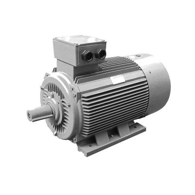 China Totally Enclosed Three Phase Aerator Induction AC Motor 380 Volt 2 KW For Washing Machine for sale