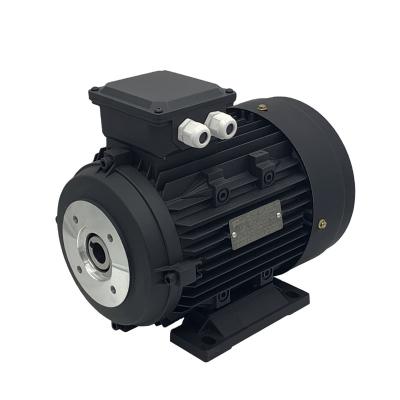 China Totally Enclosed Cavity 5.5kw Shaft Electric Motor For Washing Machine Pump for sale