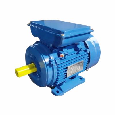 China Totally Enclosed Capacity Starting Motor For Crushers Single Phase Electric Motor for sale