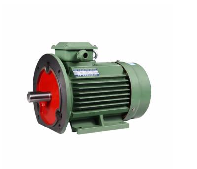 China 180W 250W 370W Y2 2pole Totally Enclosed Three Phase Small Power AC Asynchronous Electric Motor IE Standard for sale