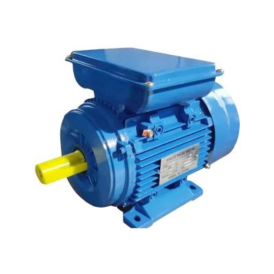 China 1.1kw 1.5kw 2.2kw 3kw 3.7kw 4kw 5.5kw 7.5kw Single Phase Ac Totally Enclosed Electric Motor for sale