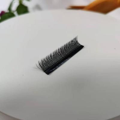 China Anti-Puffiness Private Label Eyelash Extensions Water False Mink Black OEM Eyelash Extensions for sale