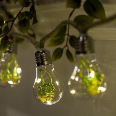 China Photo Clip String Light Edison Bulb Ball Glass Artificial Large Fairly New Factory Led String Light for sale