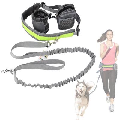 China Thoughtful Lead Dog Walking Leash Wholesales Detachable Dog Hands Free Dog Leash Adjustable Pet Keeping Belt With 2 Bags for sale