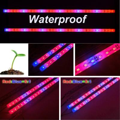 China Waterproof DC12V 0.5m 5630/5730 Led bar rigid strip Grow Light Red Blue 5:1 or 3:1 for Aquarium greenhouse for sale