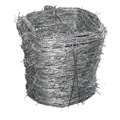 China Protection Performance Barbed Wire Low Price Wholesale Barb Wire Mesh Roll Barbed Wire Fencing Galvanized for sale