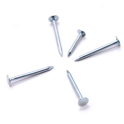 China Best quality flat most popular cupper nails galvanized rag roofing nails for sale