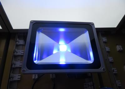 China Residential 50W Outdoor LED Flood Light High CRI Waterproof IP 65 for sale