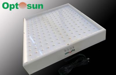 China el panel de 28W 182pcs SMD5050 LED crece ligero con el color de azul rojo para las rosas de las orquídeas, 6 metros cuadrados en venta