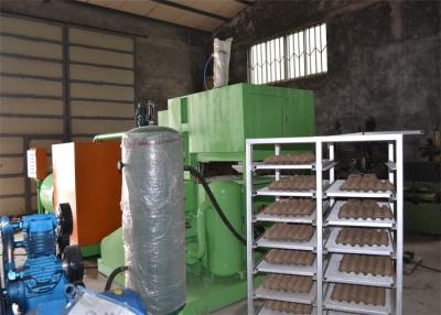 China Paper Pulp Molding Machine Egg Tray Manufacturing Machine Low Energy Consumption for sale