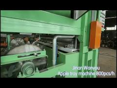 Waste Paper Pulp Egg Tray Machine Egg Tray Maker With Pulping System