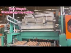 Automatic Apple Tray Making Machine with Stainless Steel Forming Molds