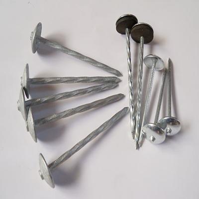 China Cap Galvanized Roofing Nails Factory Price Cheapest Umbrella Head Roofing Nails Roofing Nails for sale