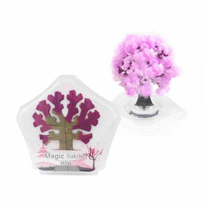 China Japan Magic Mini Magic Growing Tree Raising Sakura for sale