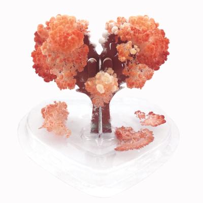 China Europe magic growing tree gift good for valentine's day love tree for sale