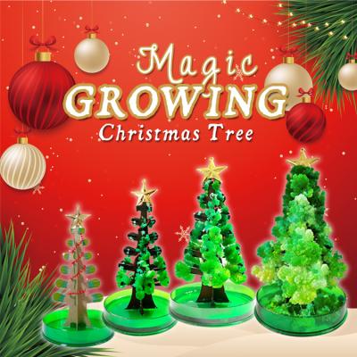 China OEM Magic Growing Tree Home From Europe for sale