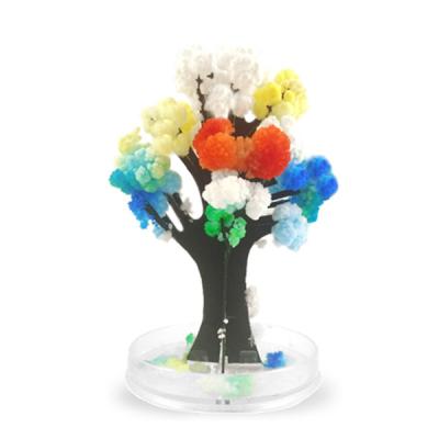 China China Tree Color Tree Magic Growing Coral Tree for sale