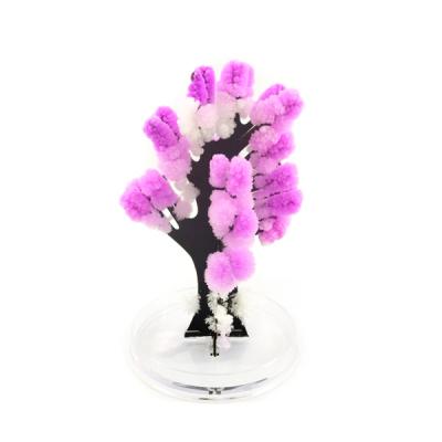 China China Tree Magical Rose Tree Growing Coral Tree for sale