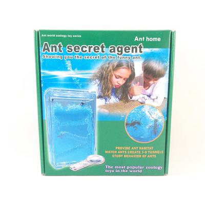 China Education Toys Meaningful Gifts Funny Ant House Ant Farm STAT-1 for sale