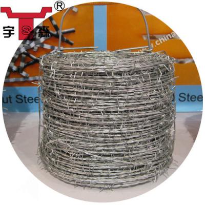 China Easy Hot Dipped Galvanized Barbed Wire for sale