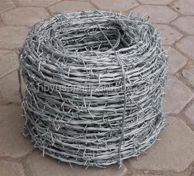 China Electric Galvanized Barbed Wire for sale