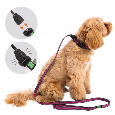 China Reflective Automatic Dog Harness And Leash Magnetic Strength Dog Harness From China Suppliers for sale