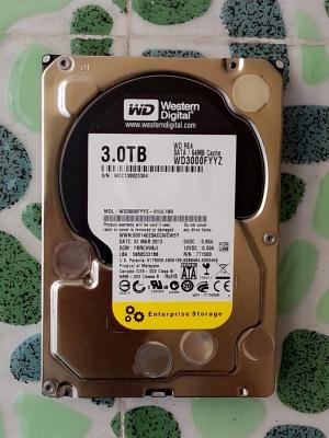 Cina disco rigido 3TB, nascondiglio WD3002FAEX del server interno di 3.5inch SATA di 7200RPM 64MB in vendita