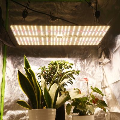 China Full Spectrum Coverage 3x4 240W LED Grow Light Full Spectrum with Same Day Shipping and Three Year Warranty for Grow Tent for sale