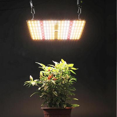 China Button Dimming Coverage 3x3 120W LED Grow Light Full Spectrum with One Day Shipping and Three Year Warranty for Grow Tent for sale