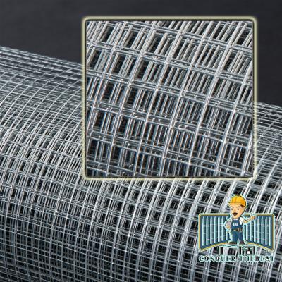 China Fence Hot Dipped Galvanized Iron Welded Wire Mesh for sale