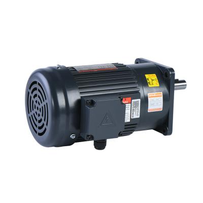 China RK IK Gear Motor Ac 220v CV16-100-15A CV18-200-15S 5RK90GN-CF for sale