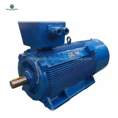 China Totally Enclosed 45kw 2 Pole 3 Phase Asynchronous Induction AC Electric Motor for sale