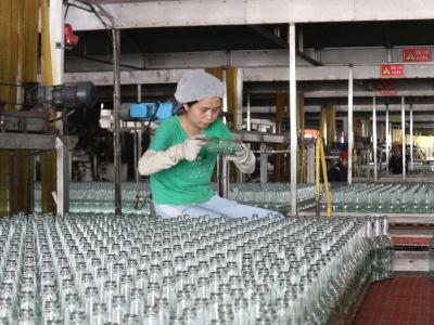 China Productielijn voor glasflessen voor Coca-Cola-dranken Te koop