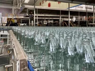 China Produktionslinie für Glasflaschen zu verkaufen