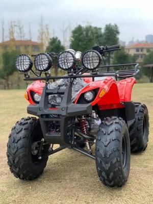 China Atv con tracción a cuatro ruedas Beach Buggy 4x4 1000cc en venta