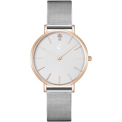 China Luxury Good Quality Waterproof Light Texture Watch Texture Elegant Metal Brushed Dial Watch Clear Elegant Ladies Quartz Watch for sale