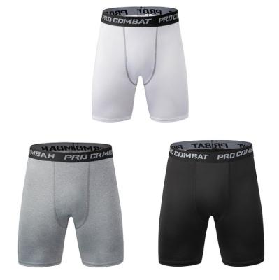 China Anti-Wrinkle Custom Plus Size Quick Dry Men Fitness Shorts Tight Running Gym Fitness Men Shorts Compression Shorts for sale