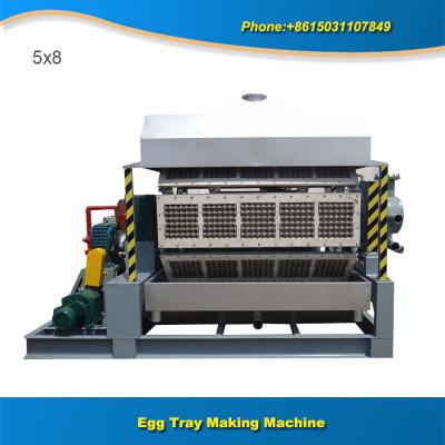 China Paper production machinery 5x8 5000pcs full automatic egg tray manufacturing machine for sale