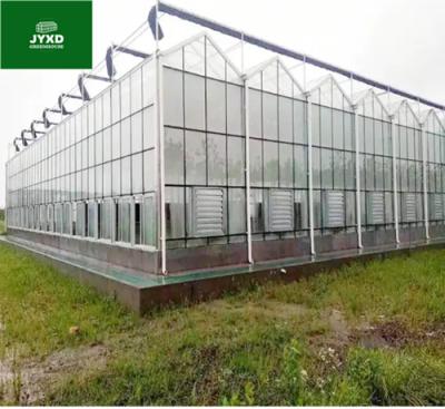 China Greenhouse Cheap Plastic Single-span Greenhouse  low cost for sale