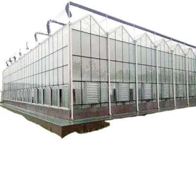 China Greenhouse Best quality green house film plastic greenhouse sheet for sale