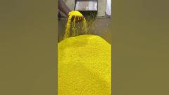 Coloured FR (Flame Retardant) PVC Compounds For House Wires | PVC Granules Manufacturing | Exporter✅